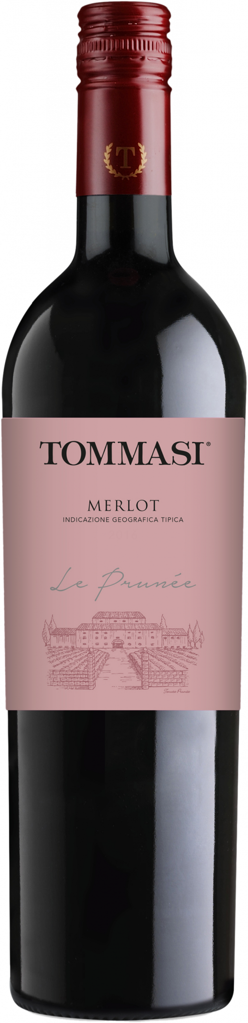 Tommasi Le Prunee Merlot 2018 — Big Nose Full Body