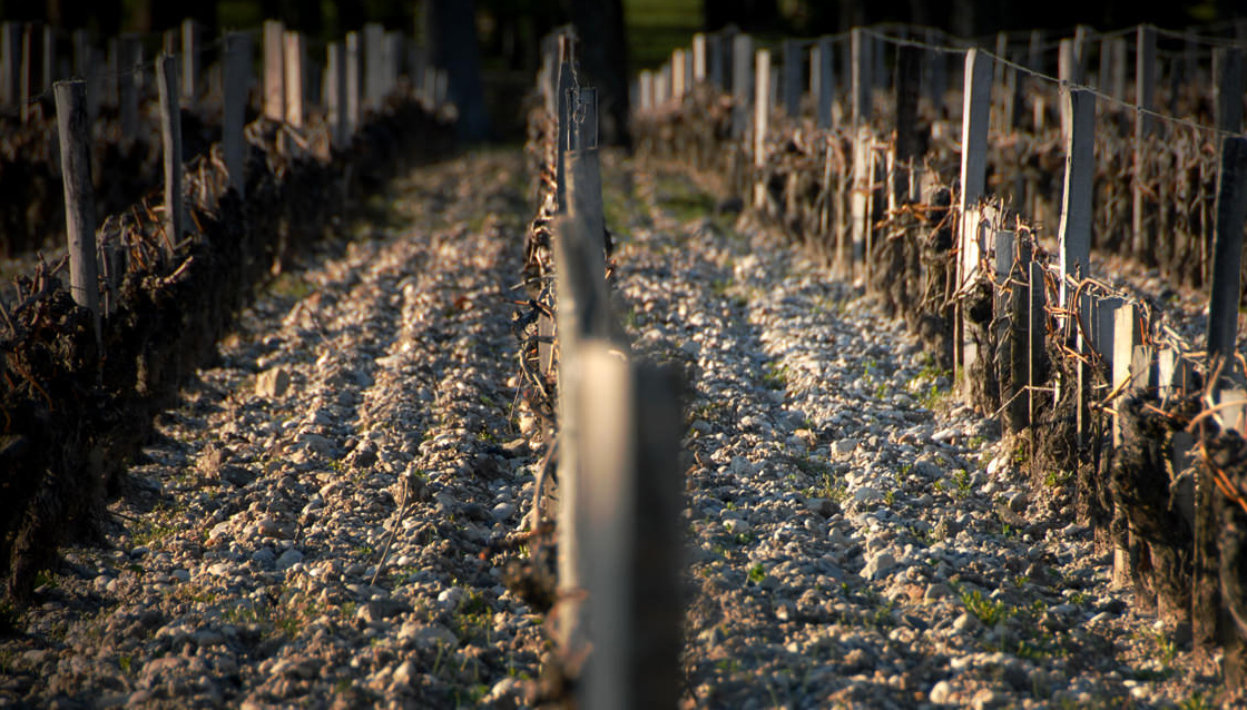 Margaux du Château 2014 Margaux