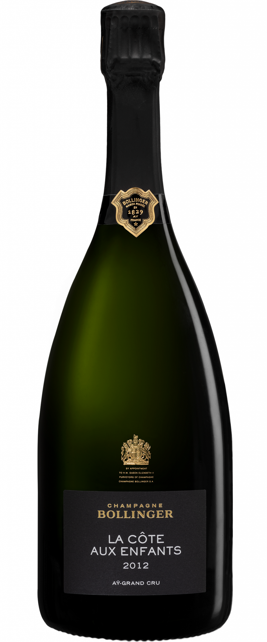 Champagne Bollinger PN VZ16